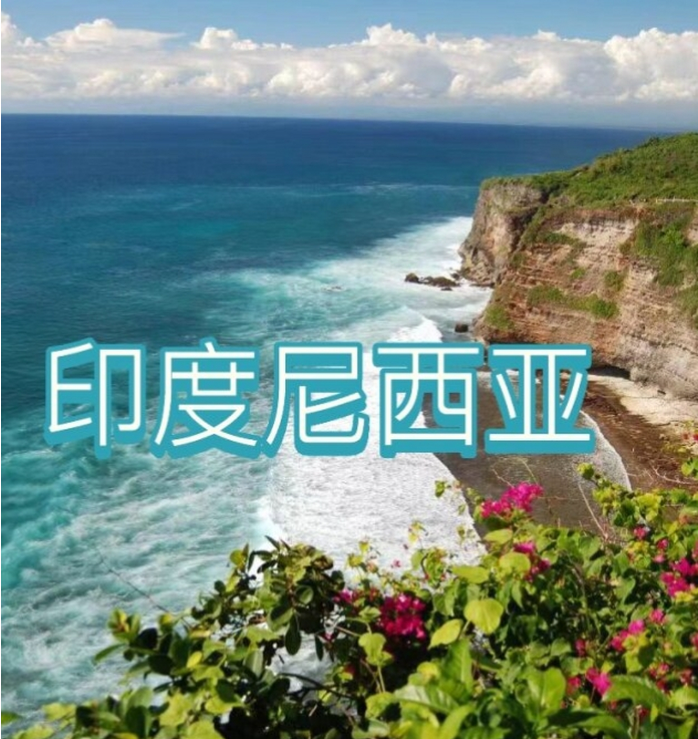 国际电商(印尼)产业博览会不朽情缘mg2025中国(图2) 国际电商(印尼)产业博览会不朽情缘mg2025中国(图2)