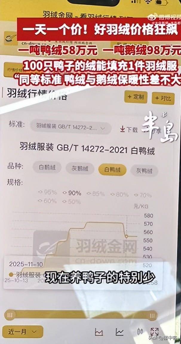 吨58万创新高低于500元的小心是假货mg不朽情缘网站羽绒服要涨价了！鸭绒每(图5)