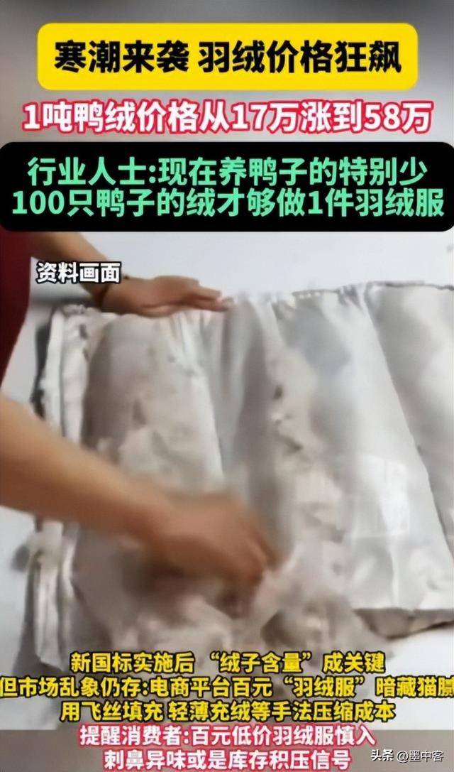 吨58万创新高低于500元的小心是假货mg不朽情缘网站羽绒服要涨价了！鸭绒每(图11)