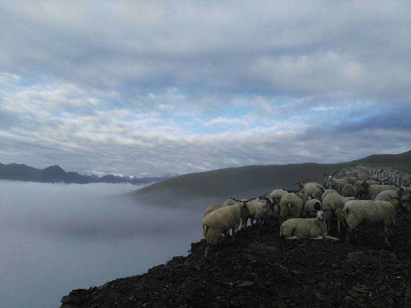 美中国】达瓦更扎看云海不朽情缘正规网站【大(图2) 美中国】达瓦更扎看云海不朽情缘正规网站【大(图2)